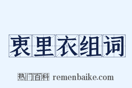 衷里衣组词是什么意思的图片